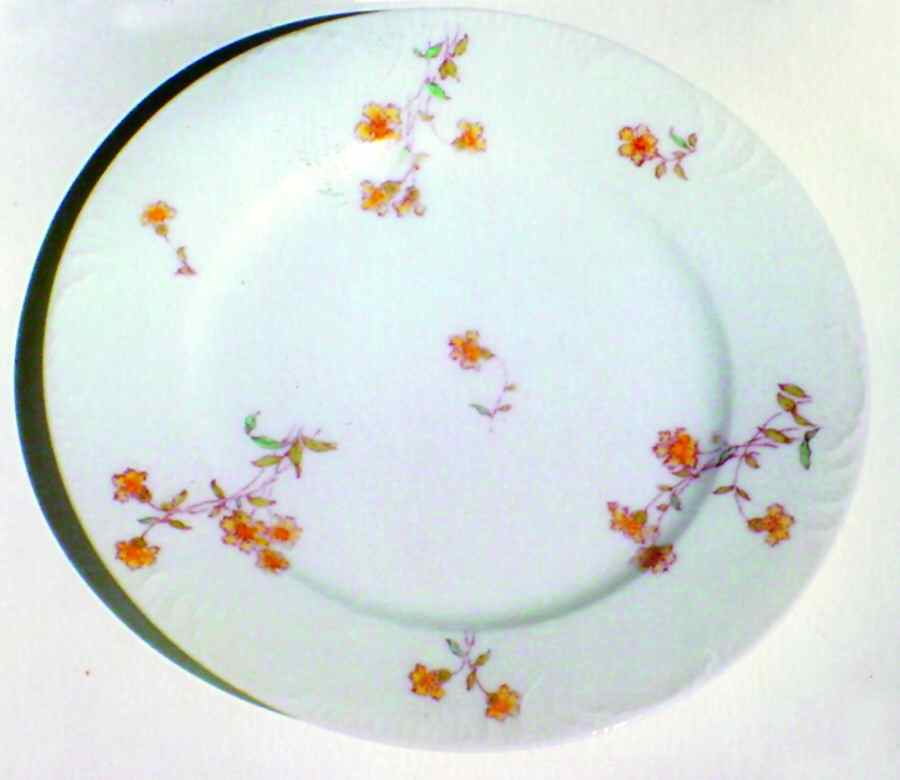 Schleiger 372-3 Luncheon Plate by Charles Field Haviland-1