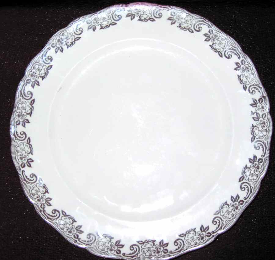 CAN219 Dinner Plate by Canonsburg-1