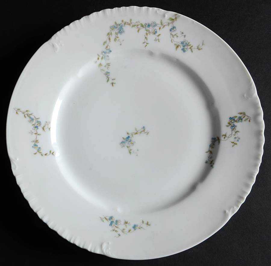 Schleiger 1299-7 Dinner Plate by Charles Field Haviland-1