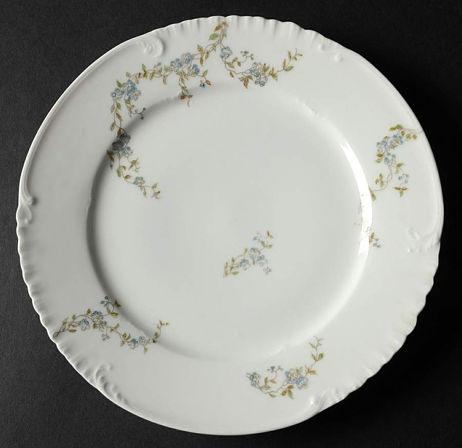Schleiger 1299-7 Luncheon Plate by Charles Field Haviland-1