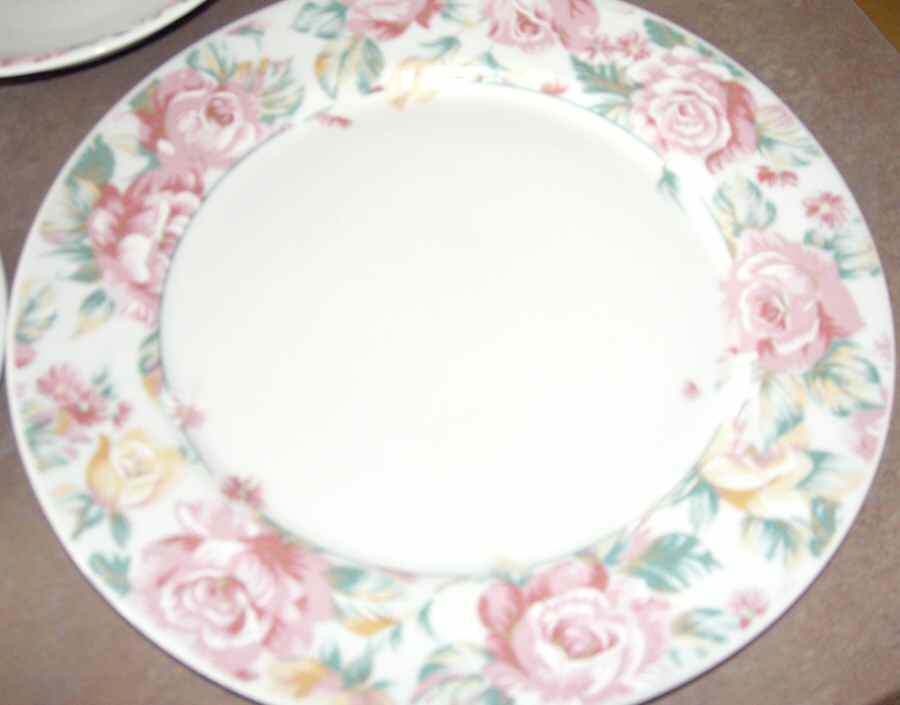 GLS8 Dinner Plate by Global Designs-1