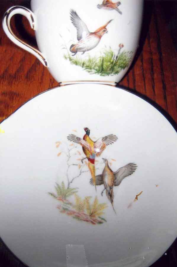 CRS156 Flat Cup & Saucer Set by Crown Staffordshire-1