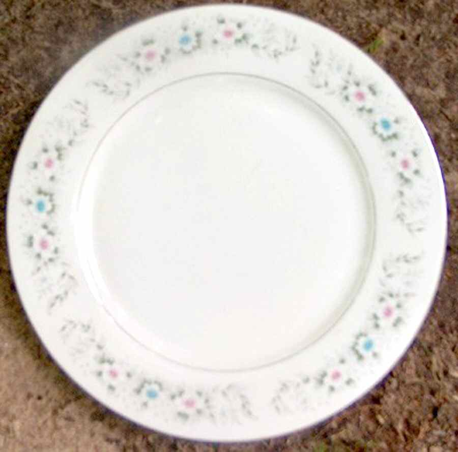 CX411 Dinner Plate by China (Made in China)-1