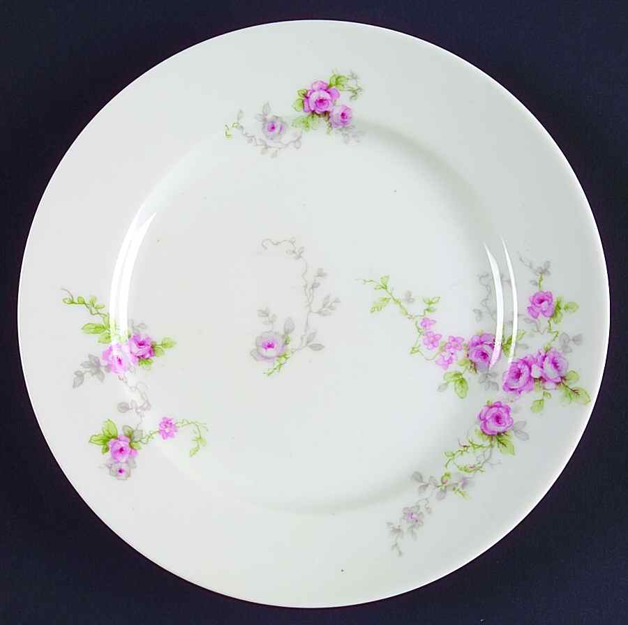 CHF1431 Bread & Butter Plate by Charles Field Haviland-1
