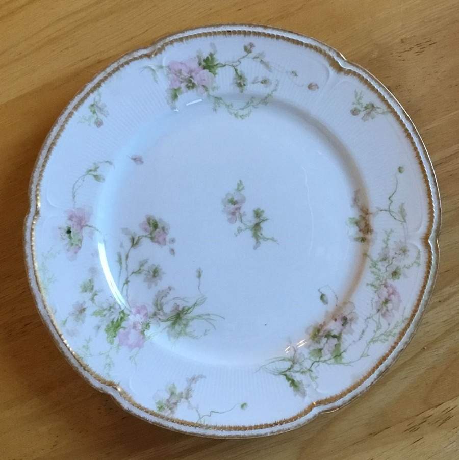 CHF1435 Salad Plate by Charles Field Haviland-1