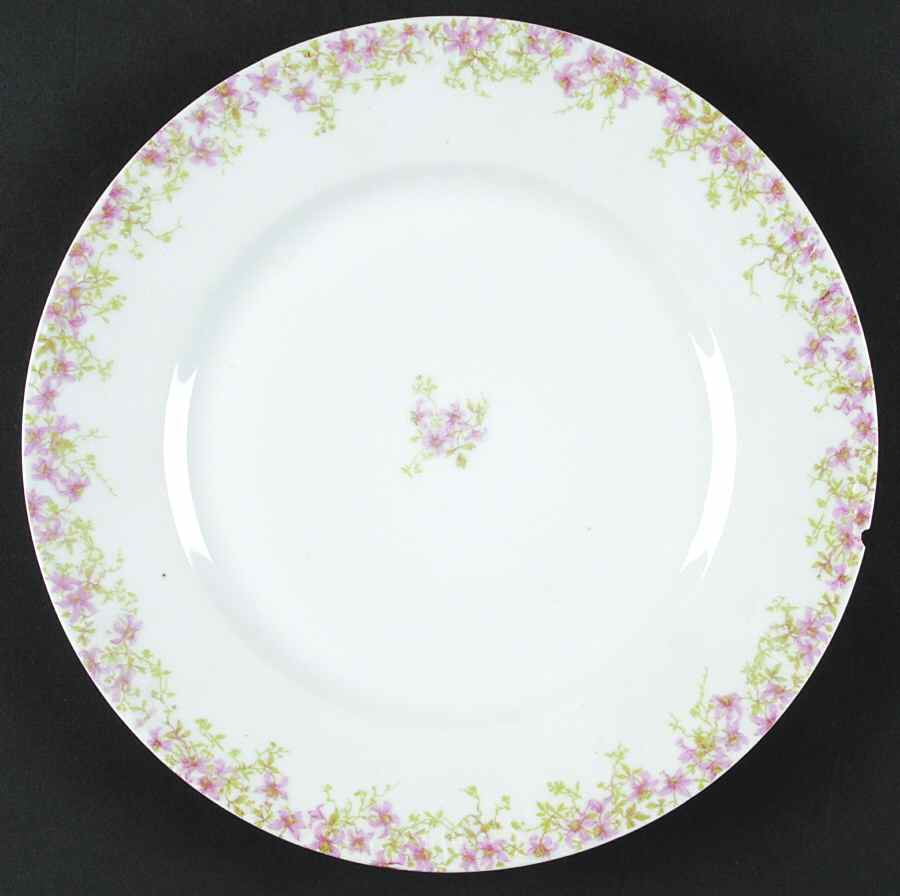 CHF1446 Dinner Plate by Charles Field Haviland-1