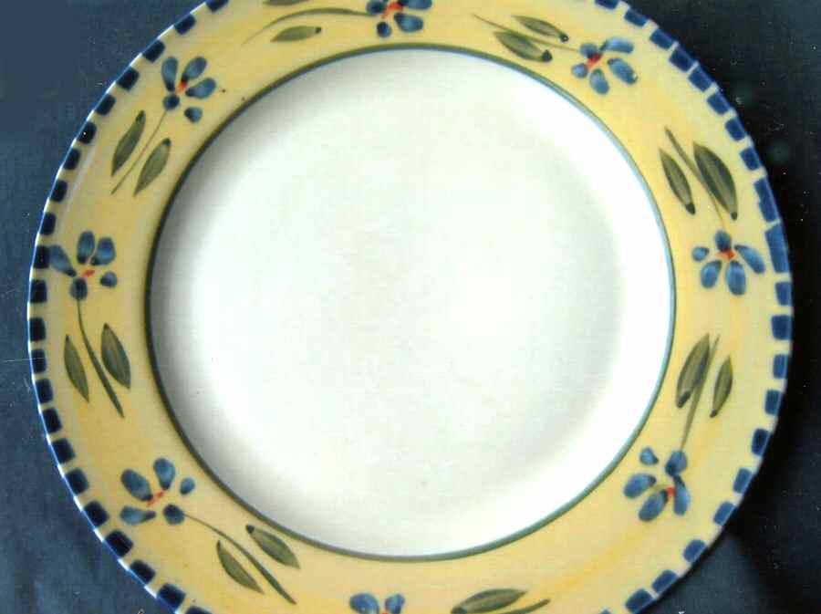 CX423 Dinner Plate by China (Made in China)-1