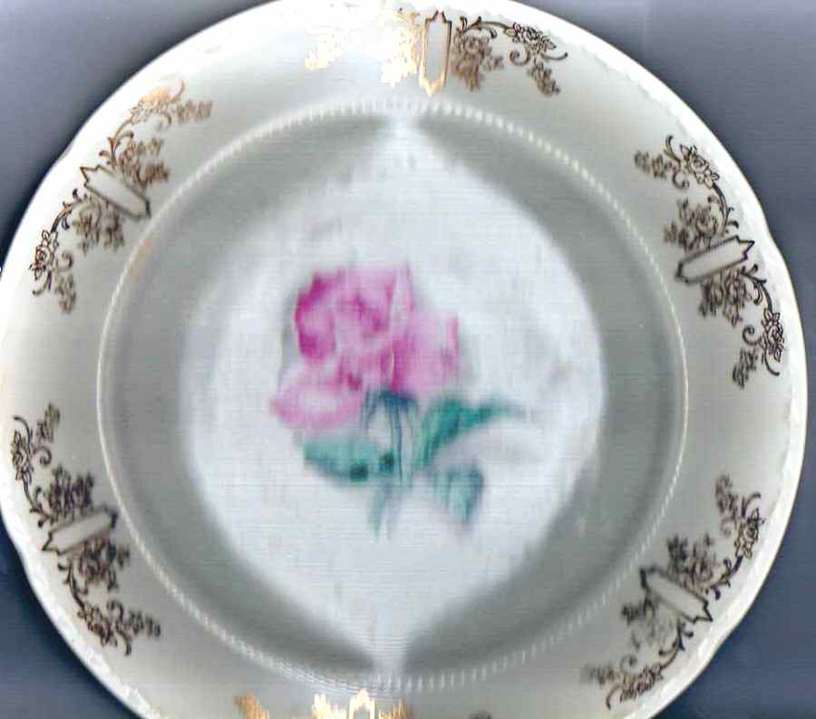 CRO328 Luncheon Plate by Crooksville-1