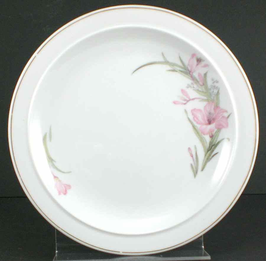 CX425 Dinner Plate by China (Made in China)-1