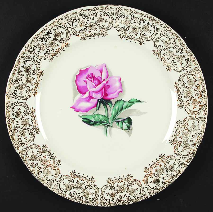 CRO330 Dinner Plate by Crooksville-1