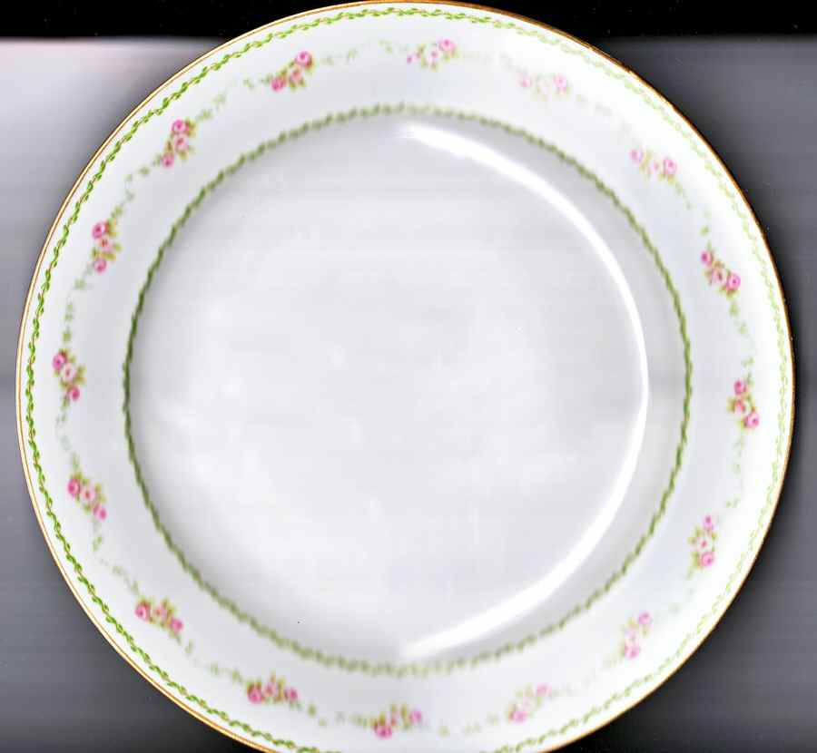 CHF1454 Salad Plate by Charles Field Haviland-1