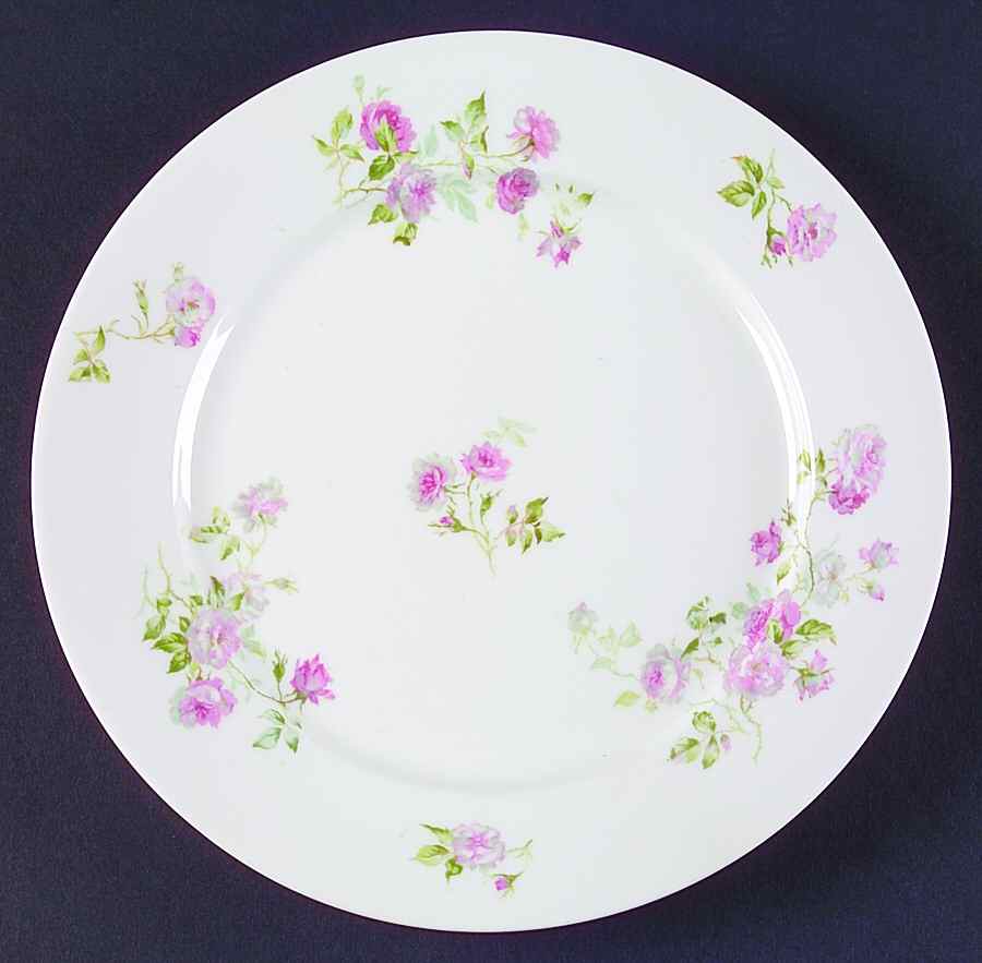 CHF1457 Dinner Plate by Charles Field Haviland-1