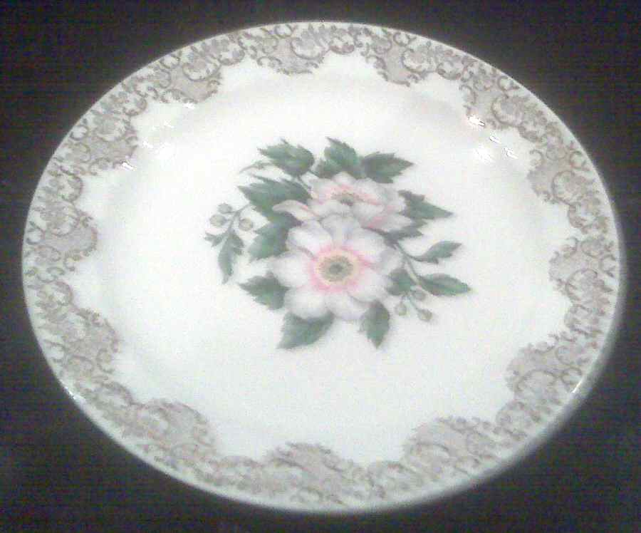 COI96 Dinner Plate by Cronin-1