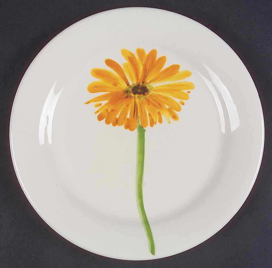 C1T3 Salad Plate by Ciao Italya-1