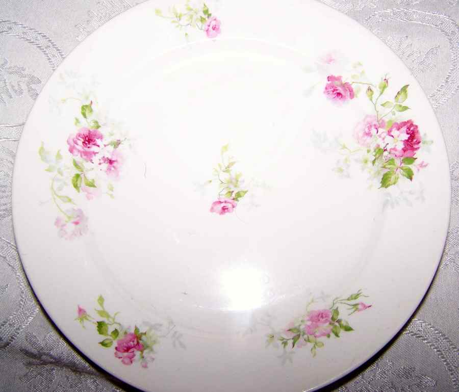 CHF1466 Dinner Plate by Charles Field Haviland-1