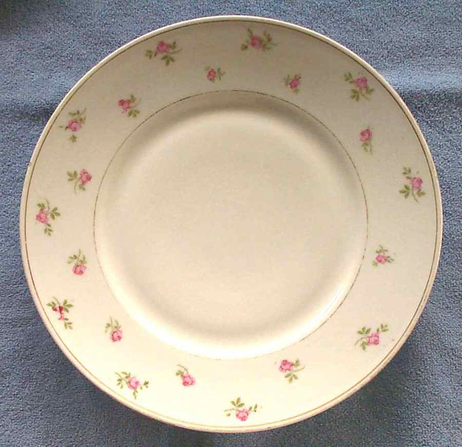 4315 Dinner Plate by Carlsbad-1