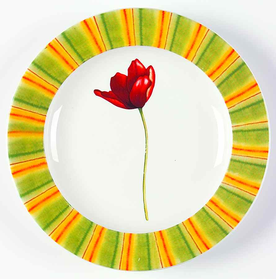 CP31 Salad Plate by Cypress Home-1