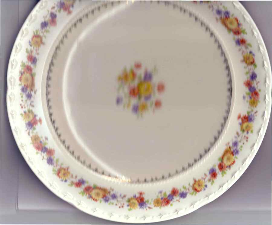 CRO335 Dinner Plate by Crooksville-1