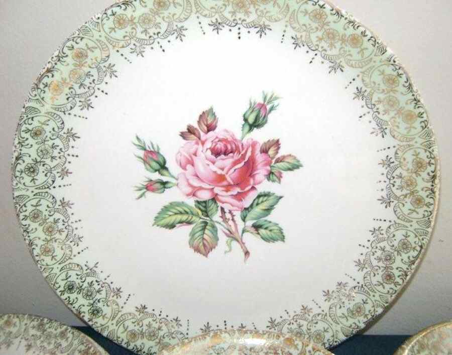 CAN228 Dinner Plate by Canonsburg-1