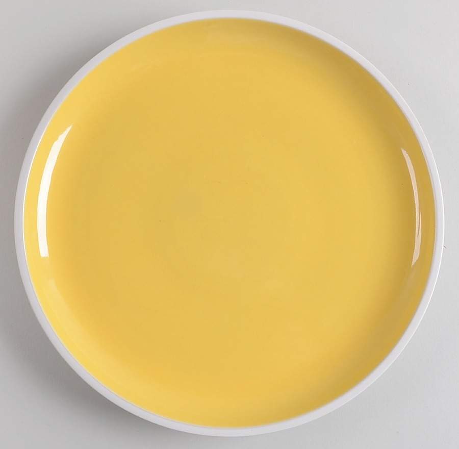 Sundance Dinner Plate by Crate & Barrel-1