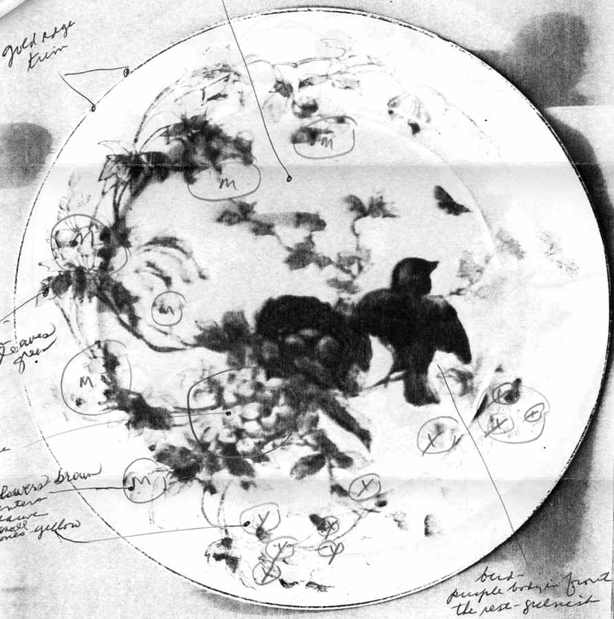 CHF1482 Salad Plate by Charles Field Haviland-1