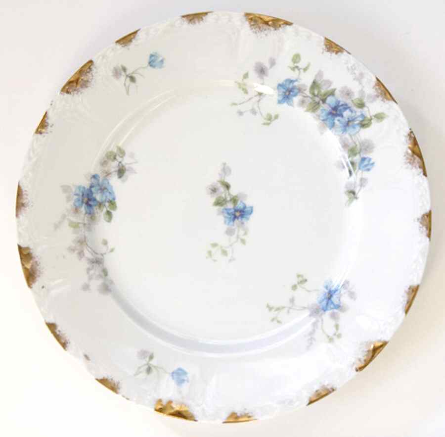CHF1486 Dinner Plate by Charles Field Haviland-1