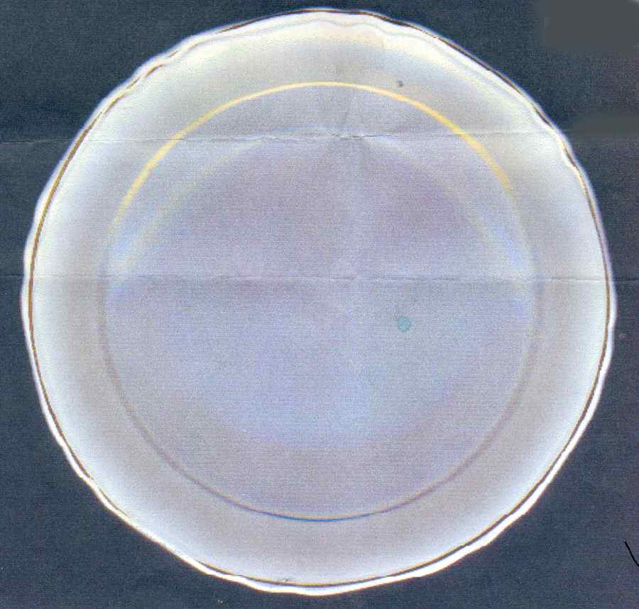 CRP201 Rim Soup Bowl by Crown Potteries-1