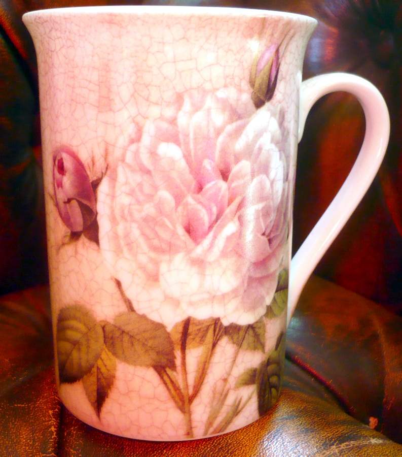 Antique Rose Mug by Creative Tops-1