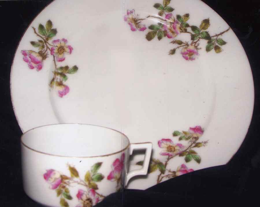 CHF1496 Dinner Plate by Charles Field Haviland-1
