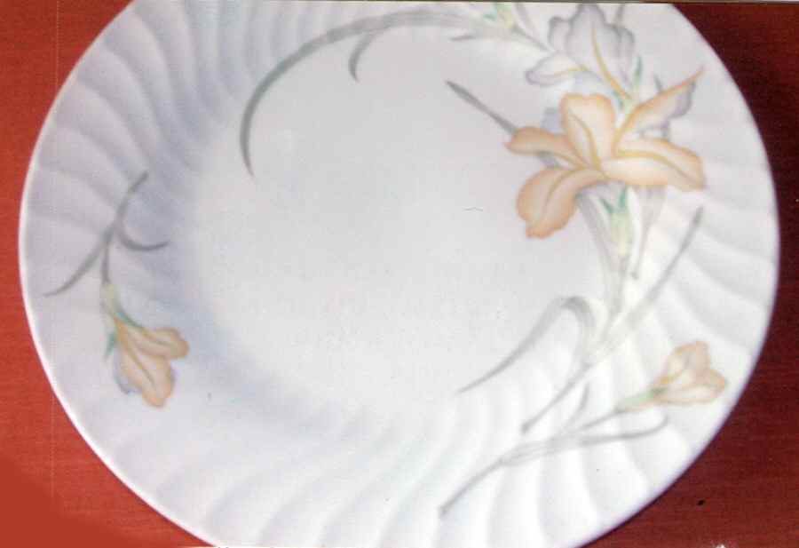 UP129 Dinner Plate by Universal Porcelain Company-1
