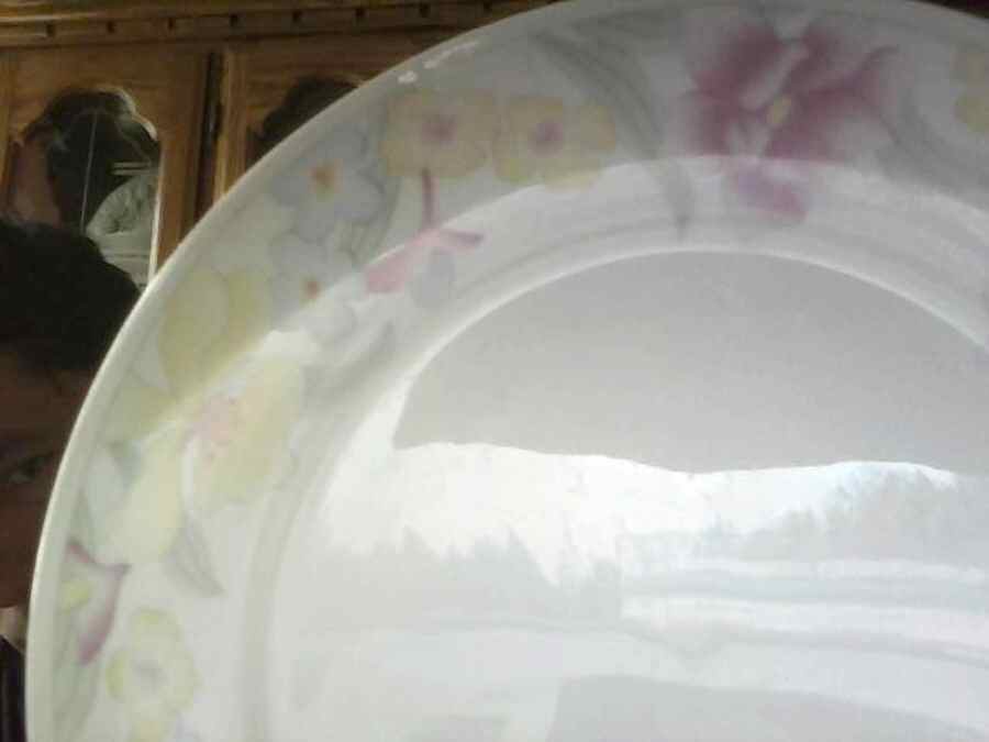 GLS7 Dinner Plate by Global Designs-1