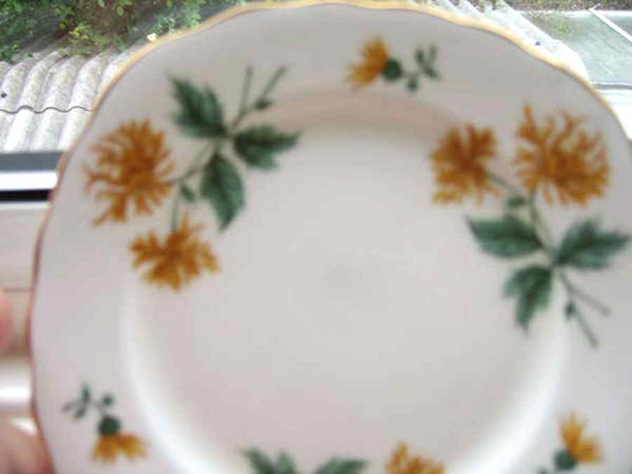 CRY12 Salad Plate by Crown Royal-1