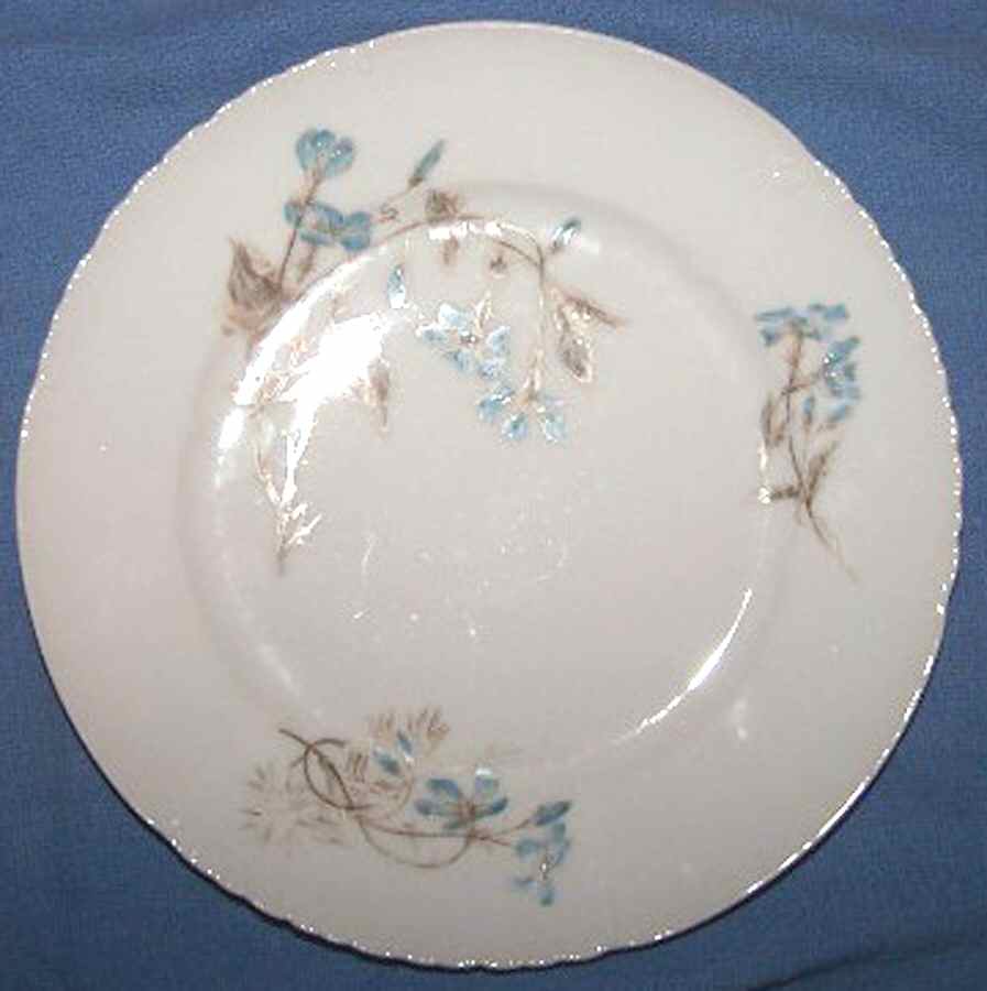 CHF1511 Dinner Plate by Charles Field Haviland-1
