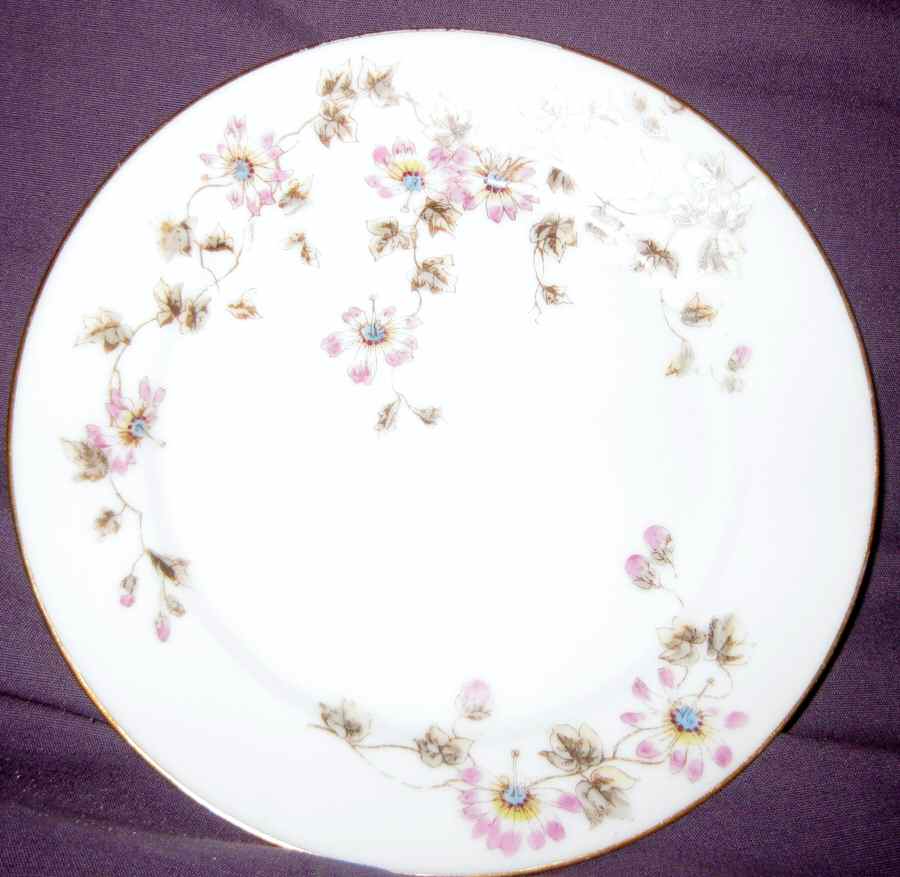 CHF1512 Dinner Plate by Charles Field Haviland-1
