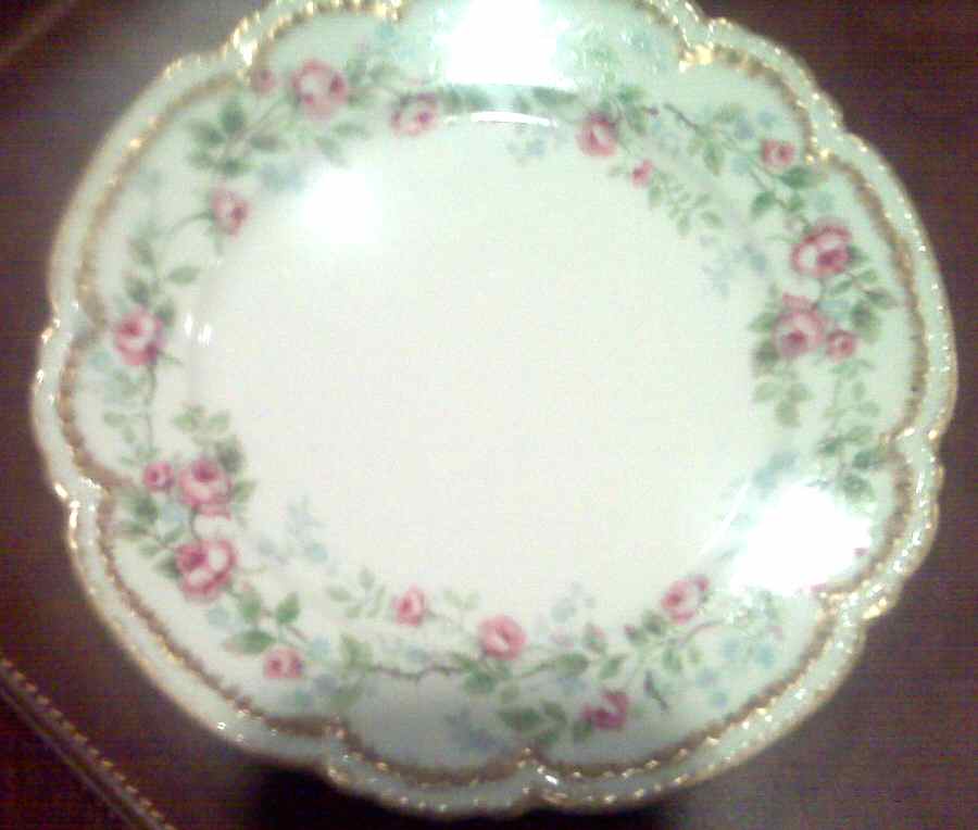 CHF1517 Salad Plate by Charles Field Haviland-1