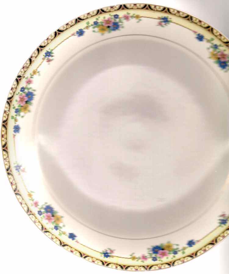 CRO338 Dinner Plate by Crooksville-1