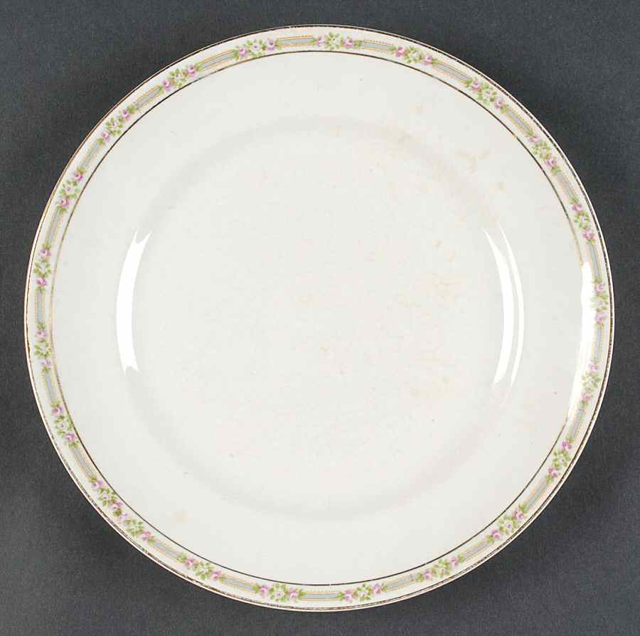 CAN230 Dinner Plate by Canonsburg-1