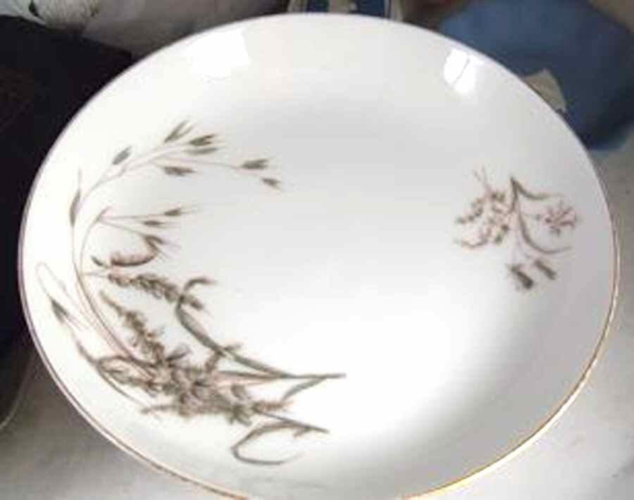 CHF1521 Coupe Soup Bowl by Charles Field Haviland-1