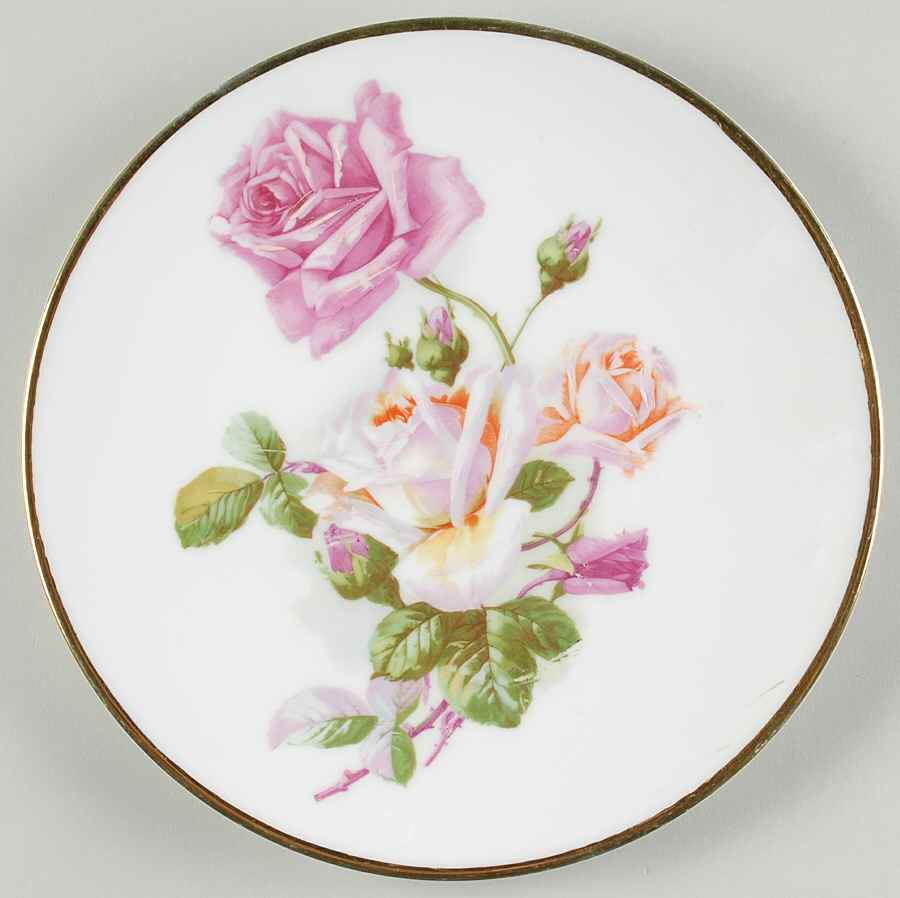 77744 Dinner Plate by Carl Tielsch-1