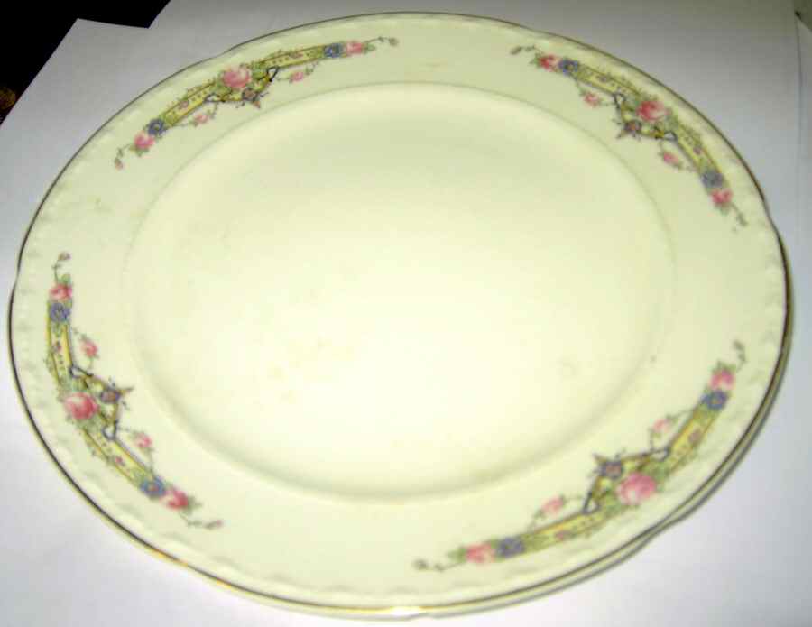 CRO340 Dinner Plate by Crooksville-1