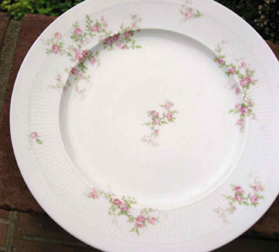 CHF1529 Dinner Plate by Charles Field Haviland-1