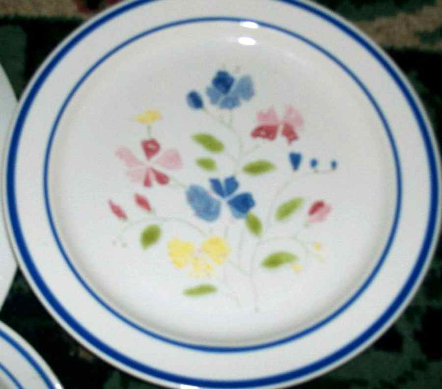 CEN22 Salad Plate by Century China-1