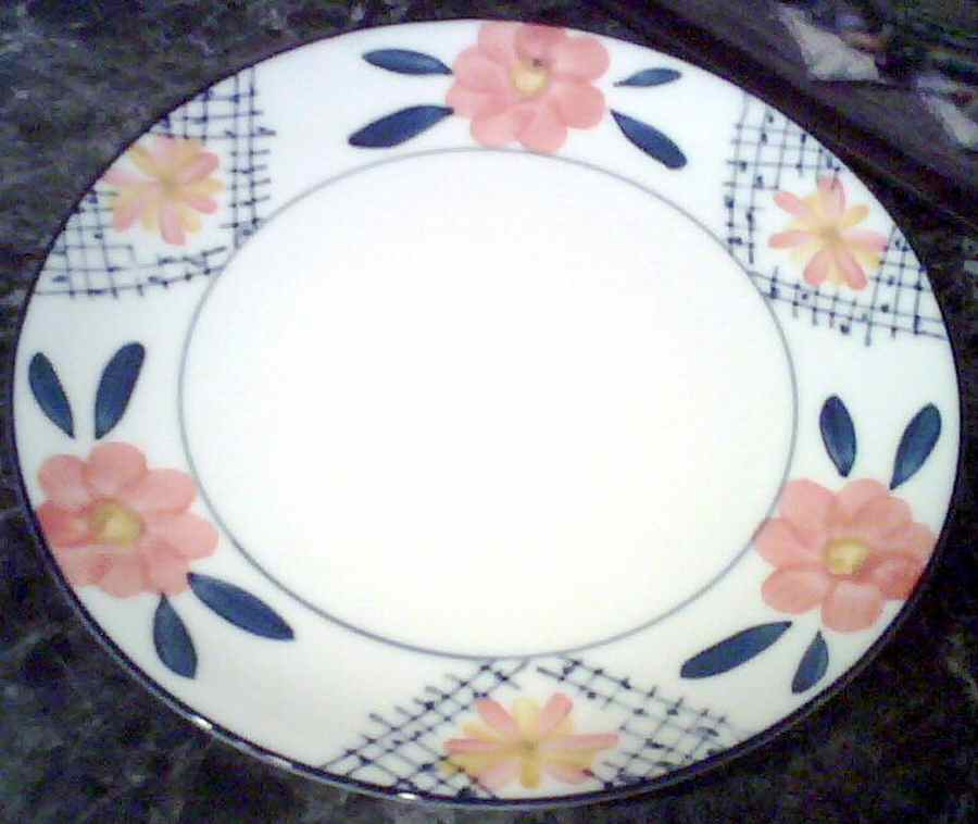 CX500 Dinner Plate by China (Made in China)-1