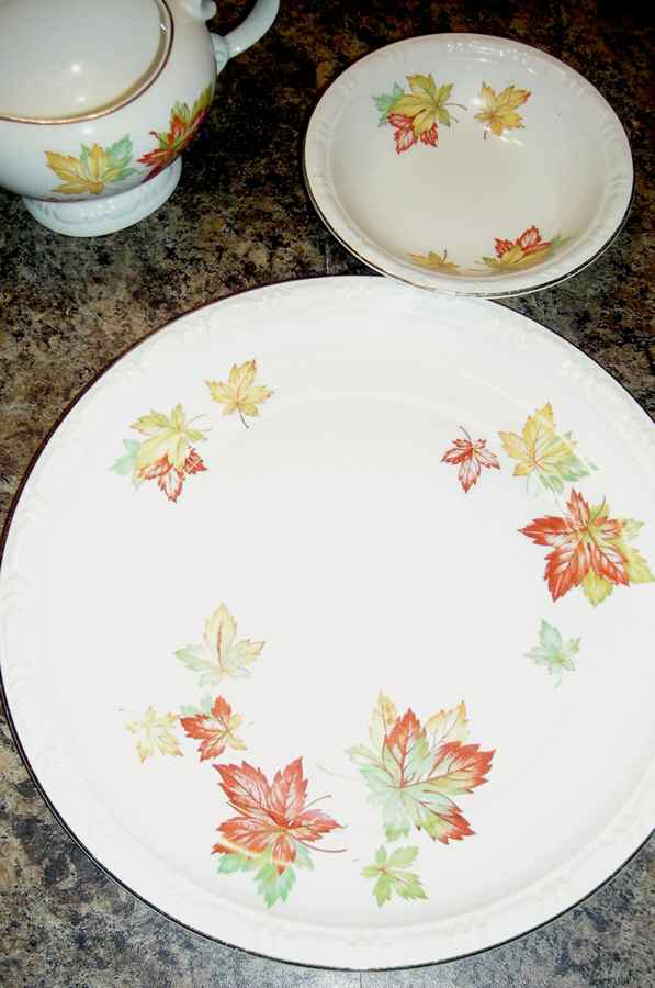 CAN232 Dinner Plate by Canonsburg-1