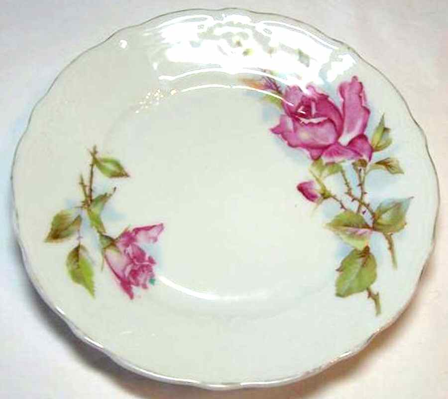 78710 Dinner Plate by Carl Tielsch-1