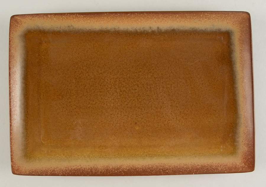 Reactive Amber 13" Rectangular Serving Platter by The Cellar (China)-1