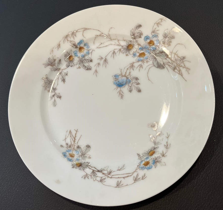 Schleiger 1301-1 Salad Plate by Charles Field Haviland-1