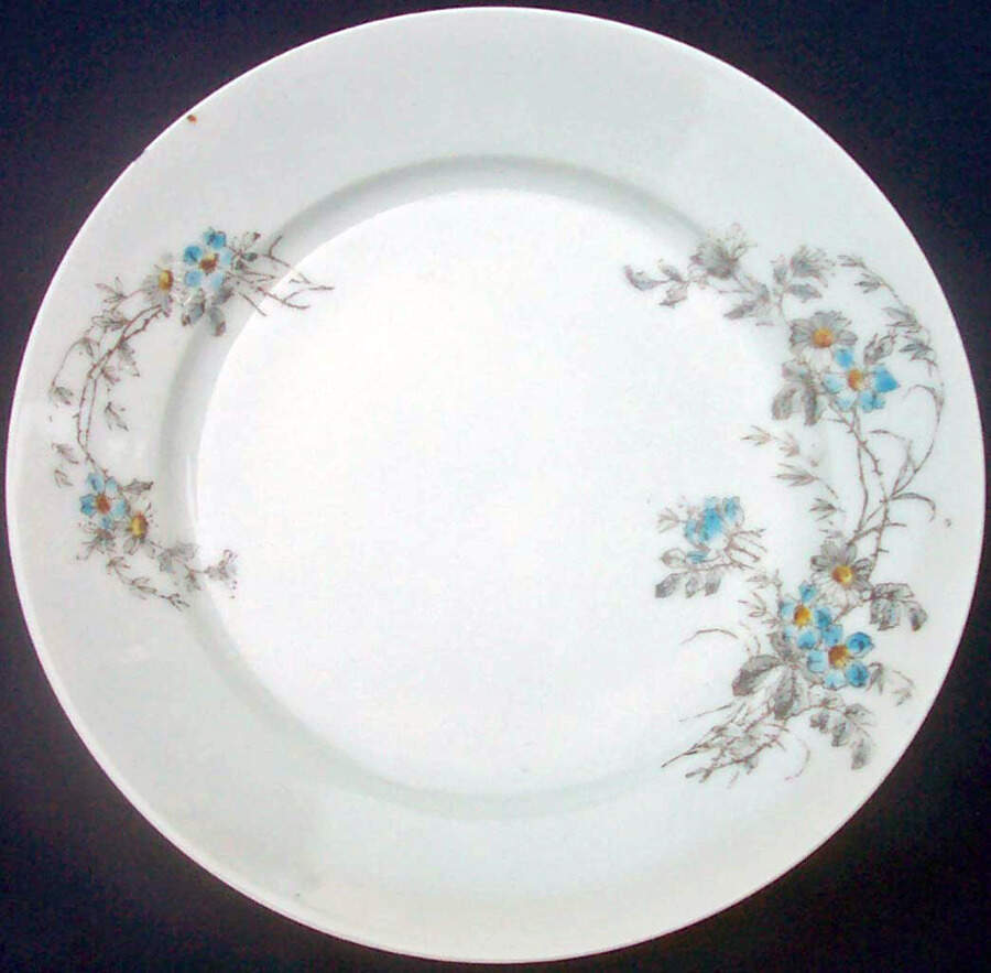 Schleiger 1301-1 Luncheon Plate by Charles Field Haviland-1