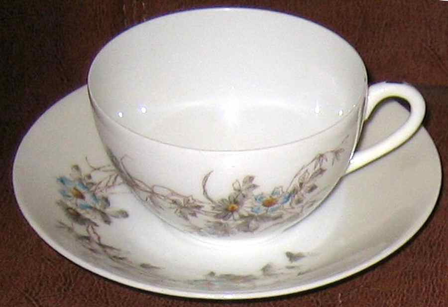 Schleiger 1301-1 Flat Cup & Saucer Set by Charles Field Haviland-1