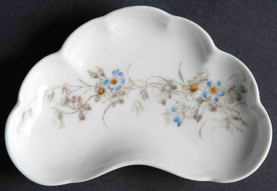 Schleiger 1301-1 Bone Dish by Charles Field Haviland-1